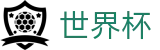 2026FIFA世界杯(World Cup)官方中文入口